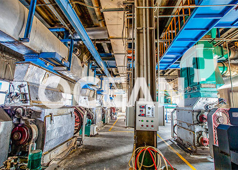 projeto 3D semente a máquina 10-1500TPD do pré-tratamento patenteou a tecnologia