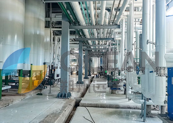 Sementes oleaginosas de mistura comestíveis patenteadas de planta de refinaria de petróleo da tecnologia