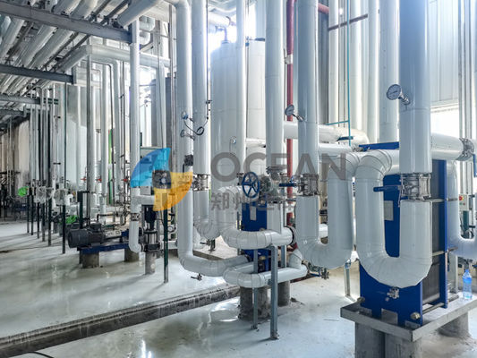 Toneladas comestíveis automáticas de aço inoxidável da planta de refinaria de petróleo 20-500/dia
