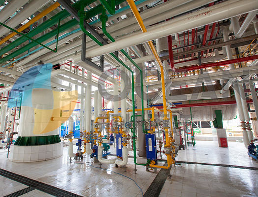 Planta da extração do óleo bruto do Turnkey da planta da extração do óleo ISO9001 comestível