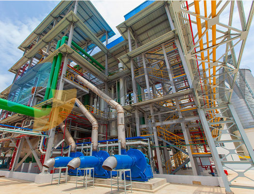 10-200 cozinhar da extração do óleo de Ton Edible Oil Extraction Equipment