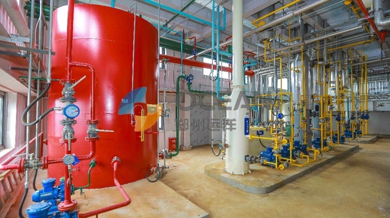 Linha de produção bruta óleo de dobra vegetal da refinaria de petróleo totalmente automático